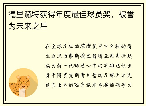德里赫特获得年度最佳球员奖，被誉为未来之星